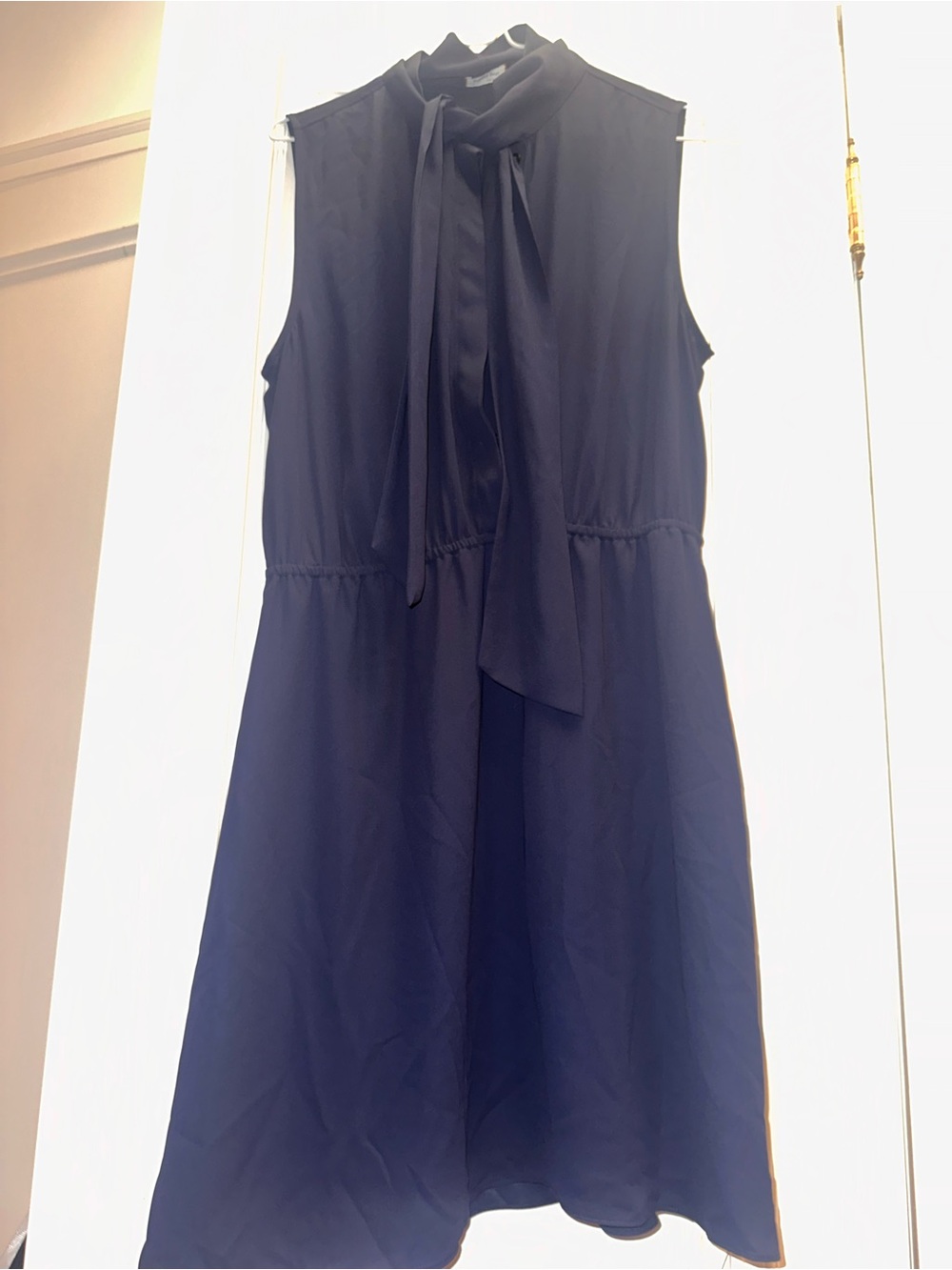 Sleeveless Navy Tie-Neck Women's Dress